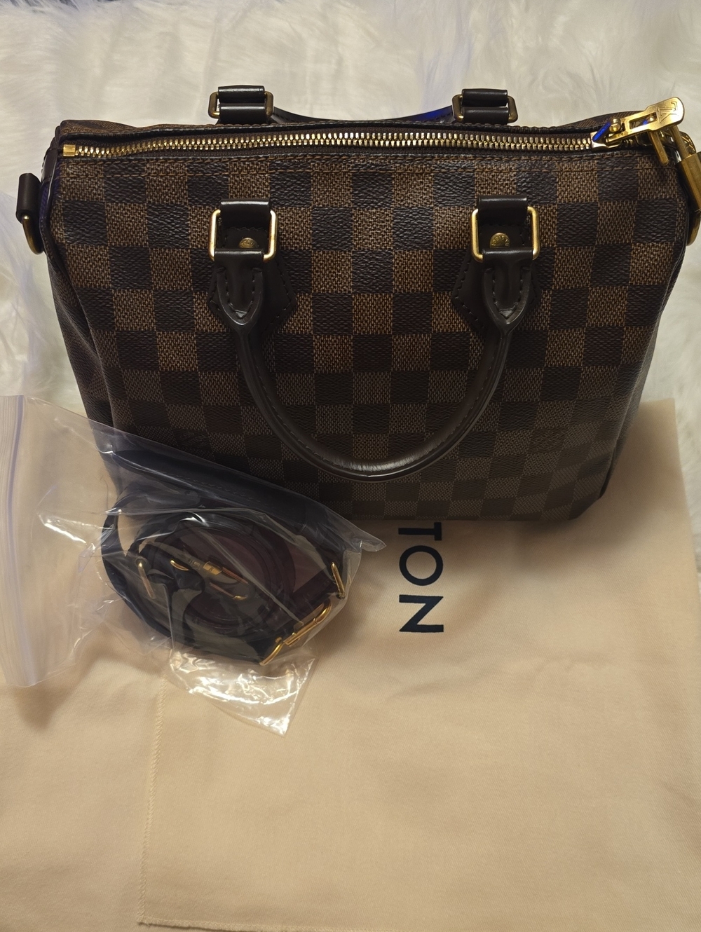 Louis Vuitton Speedy Bandou 25 DE